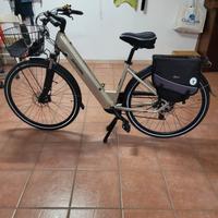 bici elettrica