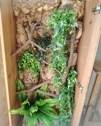 Teca artigianale per iguana