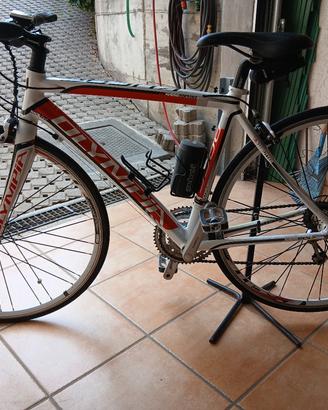Bici alluminio