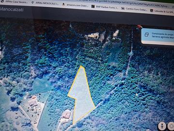 Terreno agricolo Manocalzati(AV)