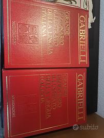 Dizionario della lingua italiana illustrato