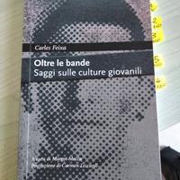 Oltre le bande - saggi sulle culture giovanili