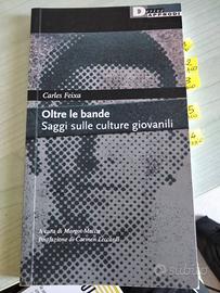 Oltre le bande - saggi sulle culture giovanili