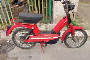 Atala Uno Rizzato