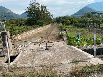Terreno uso agricolo Spasso