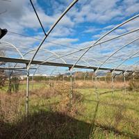 Vendita serre agricole
