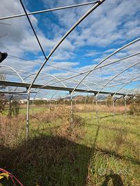 Vendita serre agricole