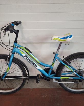 Bicicletta mountain bike