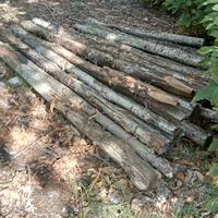 Pali castagno travi legno