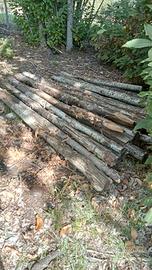 Pali castagno travi legno