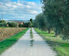 Terreno agricolo