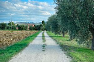 Terreno Agricolo AGRIVOLTAICO