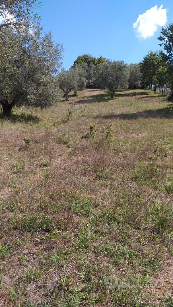 Terreno agricolo - Vista 5