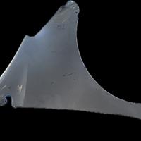 Parafango Anteriore Destro Toyota IQ