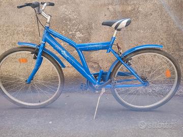 bici 24