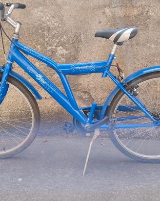 bici 24