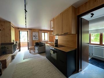 Nuovissimo appartamento a peio fonti