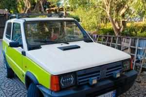 Panda Van