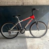 MTB RAGGIO 24  seminuova