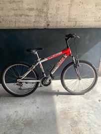 MTB RAGGIO 24  seminuova