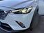 Immagine 21