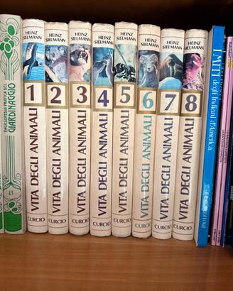 LA VITA DEGLI ANIMALI