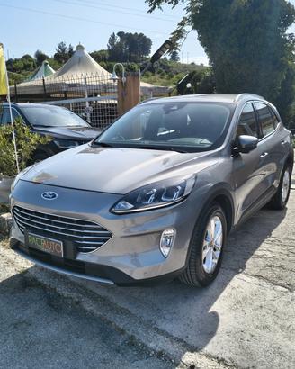 Ford Kuga 1.5 EcoBlue 120 CV 2WD Titanium Business