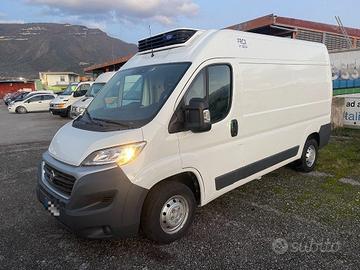 FIAT Ducato 35 2.3 MJT 130CV FRIGO FCRX Autonomo