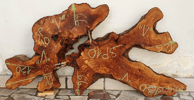 Rondella di Ulivastro selvatico lett."V"