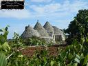 gruppo-di-trulli-le-nicchie-martina-franca