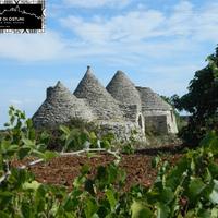 Gruppo di trulli le nicchie - martina franca