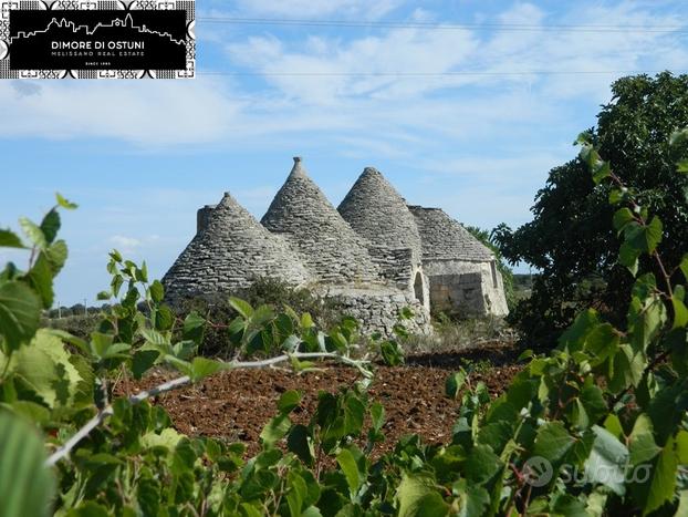 Gruppo di trulli le nicchie - martina franca