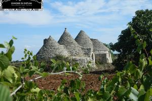 Gruppo di trulli le nicchie - martina franca