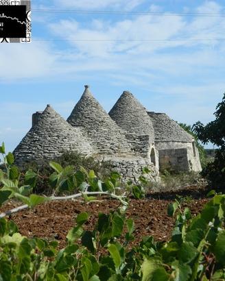 Gruppo di trulli le nicchie - martina franca