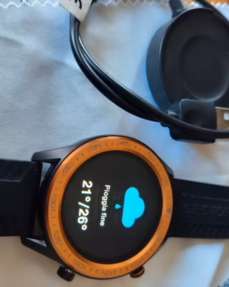 Smartwatch Sector