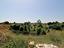 Immagine 20