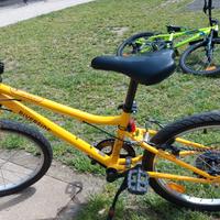 bici riverside 20 pollici come nuova