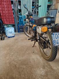 moto guzzi