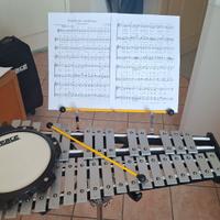 metallofono xilofono