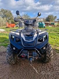 Quad Atv Linhai Dragonfly 400 4x4 verricello