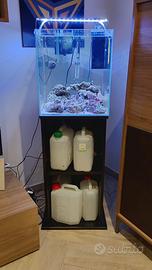 Acquario marino 40x40x40