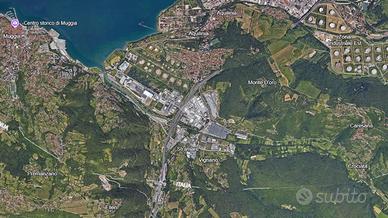 COMPLESSO A MUGGIA