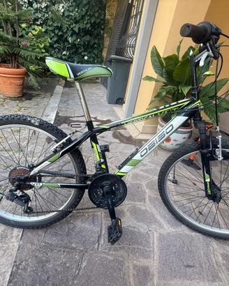 Bicicletta ragazzo