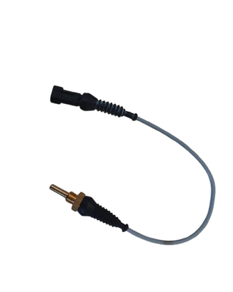 Sonda di temperatura PT 100, attacco 1/4"