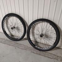 Coppia di cerchi Shimano 29 con dischi e gomme