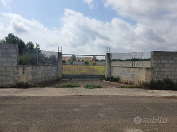 Terreno recintato con alberi da frutto