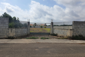 Terreno recintato con alberi da frutto