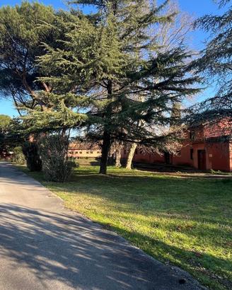 Sala prove e spazi eventi