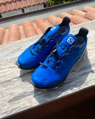 Salomon Speedcross 5 GTX (GORE-TEX) – COME NUOVE