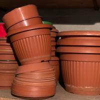 Vasi, sottovasi e carrellini